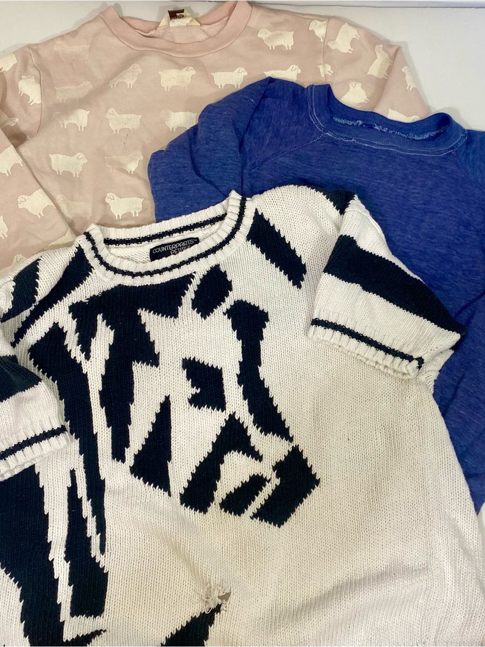 Counterparts Black & White Zebra Graphic Short-Sleeve Knit Sweater